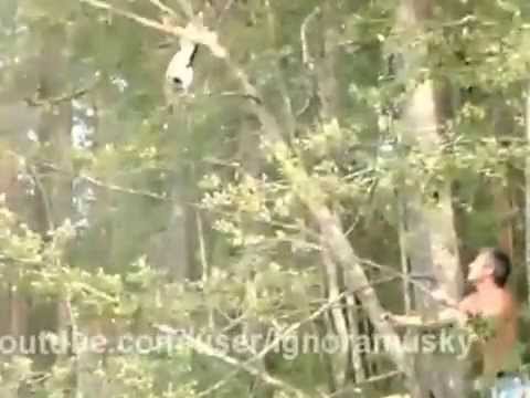 как мужик спас кота