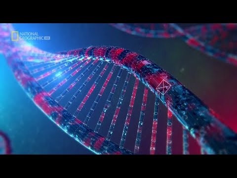 Через миллион лет / Year Million (2017) - 2 серия