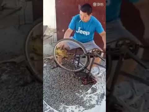 Китайский способ чистки подсолнуха