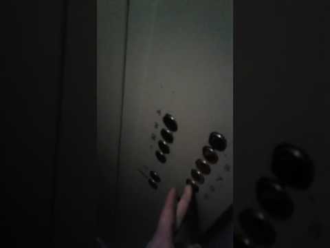 Знаки не понятны!