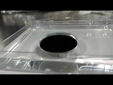 How is it possible to make a flat disk of aluminium float on water?