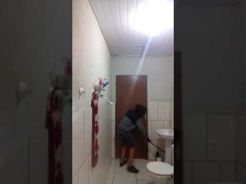 Кошка щемится