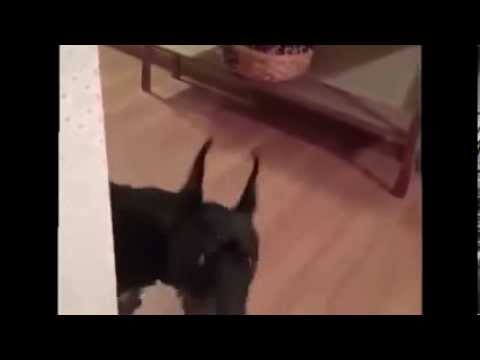 Едем на дачу.