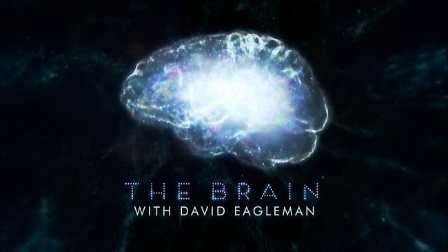 Мозг Человека 2 серия (2015) HD