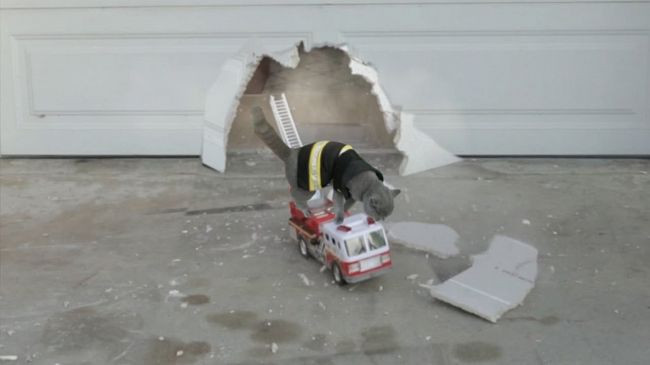 Aaron's Animals - Fire Truck Rescue