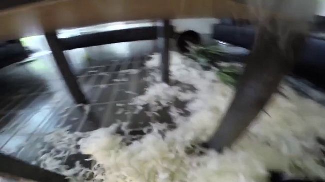 Где ты был, бегал!