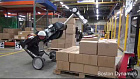 Handle Robot Reimagined for Logistics